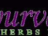 ayurvediclogo