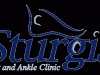 sturgislogo
