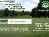 golfcourse2